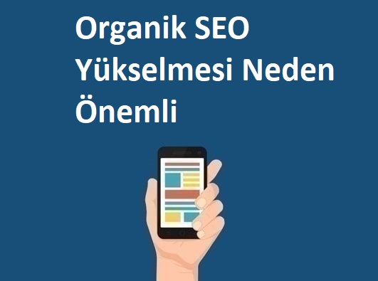 Organik SEO Yükselmesi Neden Önemli? Organik SEO